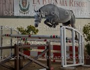Clara del Buttasella TosTour2013- S5 3061 : Arezzo, Arezzo Equestrian Centre, Cavalli d'Italia, Clara del Buttasella, Toscana Tour 2013, foto di Stefano Secchi ©